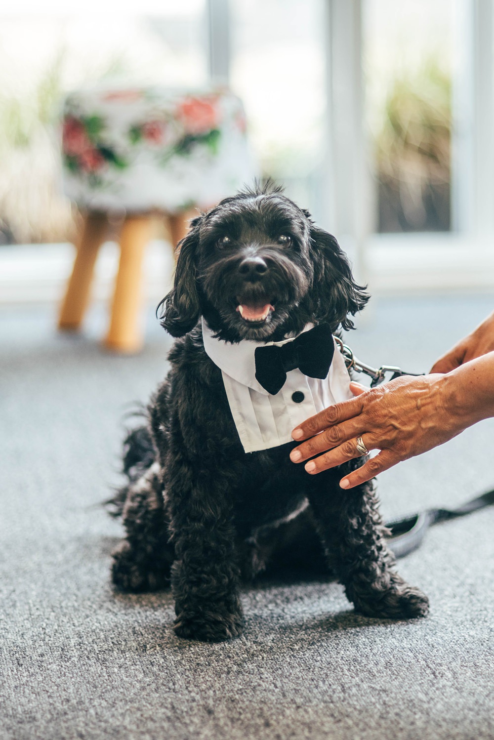 Pet Dog Bow Tie Essex Barn Wedding Three Flowers Photography