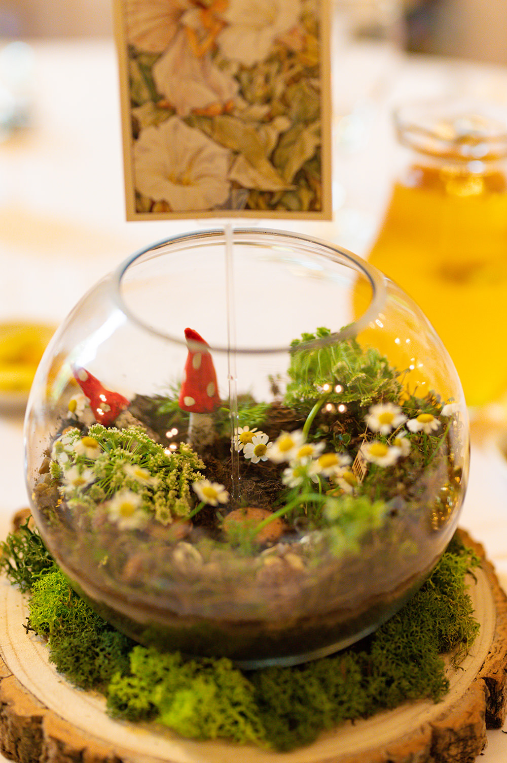 Centrepiece Fishbowl Garden Log Slice Fairy Wedding Holly Driver Photography