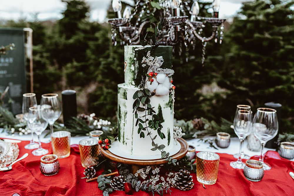 Two Tier Cake Green Greenery Cotton Christmas Tree Farm Wedding Adrianna Piorun Photography