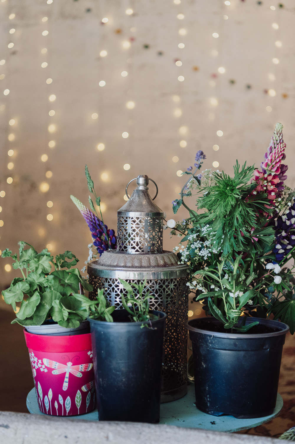 Flowers Decor Plants Fun Budget Wedding Donna Murray Photography