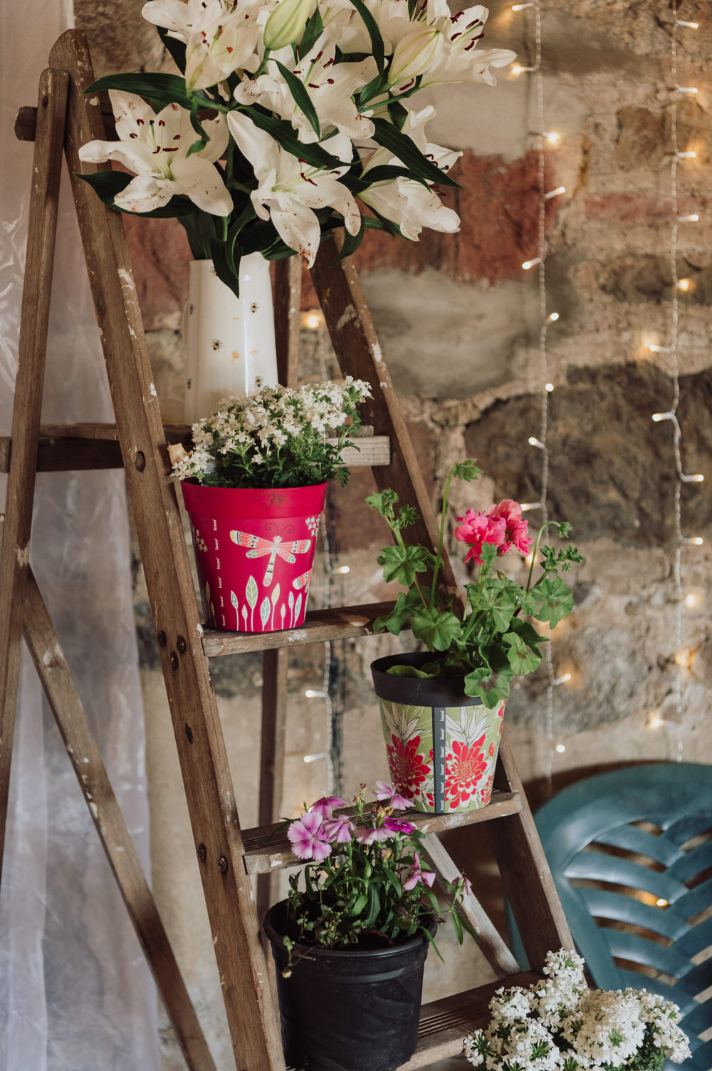Wooden Ladder Flowers Plants Decor Fun Budget Wedding Donna Murray Photography
