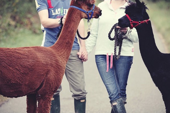 Date Ideas Esme Ducker Photography