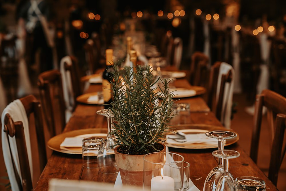 Pot Plant Terracotta Centrpiece Table Minimalist Barn Wedding Amber Louise Photography