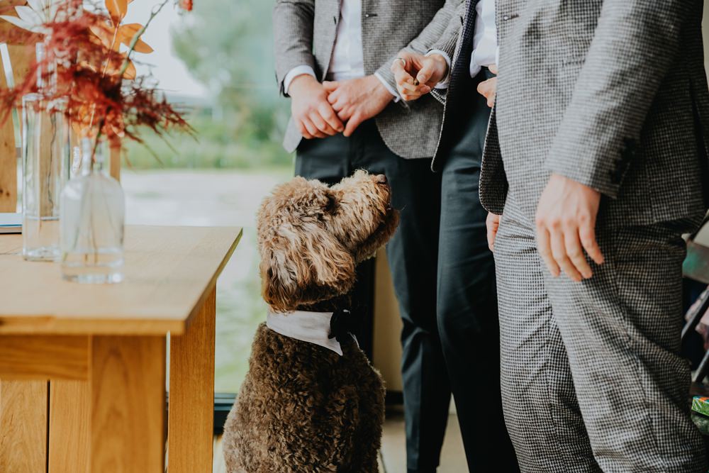 Pet Dog Cheswell Grange Wedding James Merrick Photography