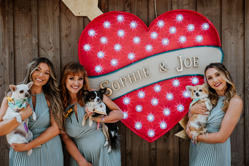 Green Bridesmaids Dress Dresses Dogs Mount Pleasant Eco Park Wedding Alexa Poppe Photography
