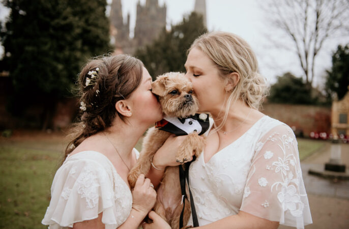 Pet Dog Staffordshire Registry Office Wedding Charlie and Em Photography