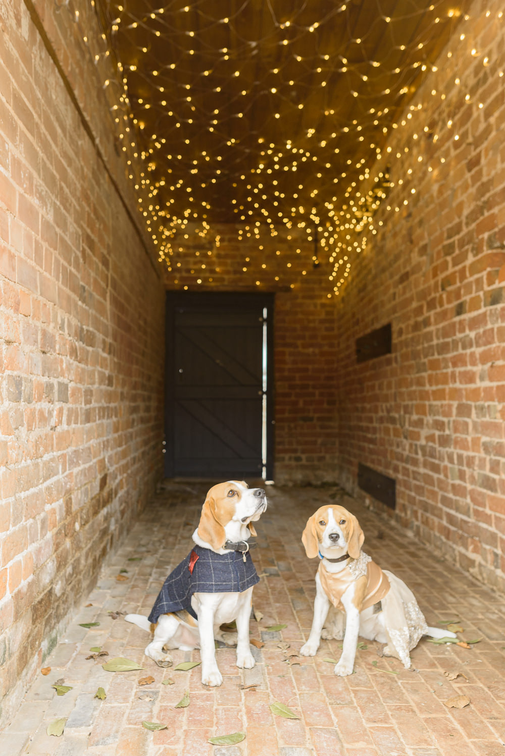 Burlton Manor Wedding Tanya Flannagan Photography