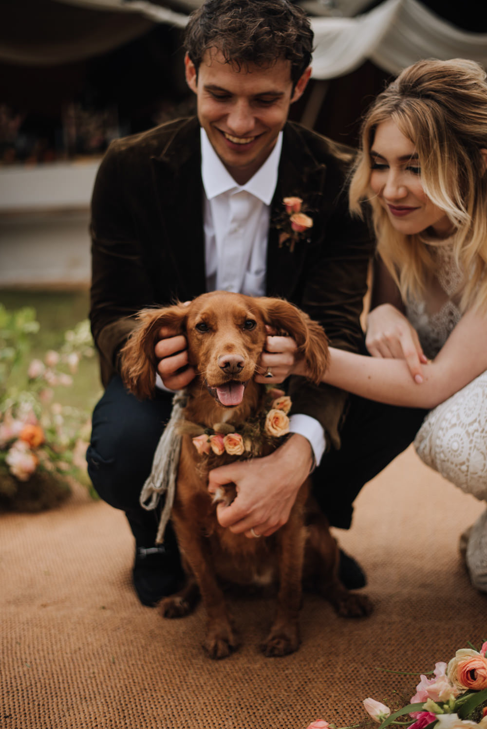 Pet Dog Flower Collar Meadows Norfolk Megan Duffield Photography