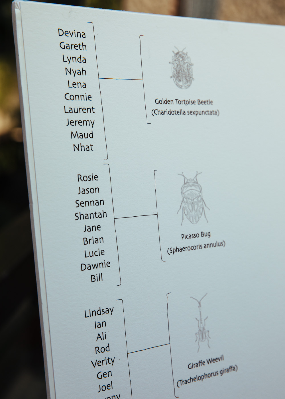 Bug Insect Table Plan Seating Chart Barbican Conservatory Wedding Lyndsey Goddard
