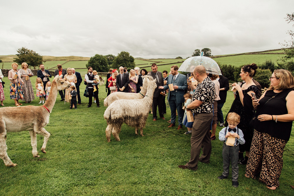Lower Damgate Farm Wedding Anna Rose Heaton Photography