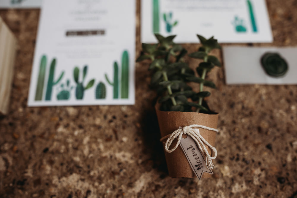 Succlent Favour Milton Keynes Wedding Thyme Lane Photography