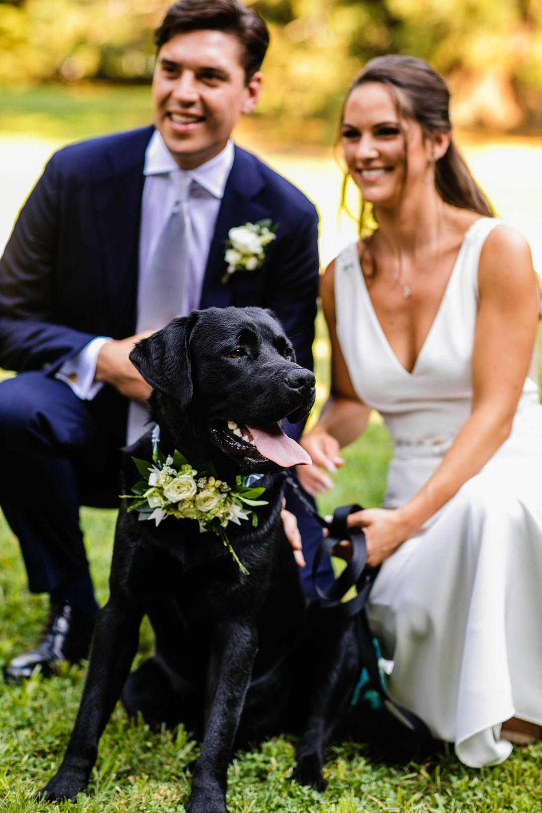 Pet Dog Flower Collar Blithewold Mansion Wedding M.Studios