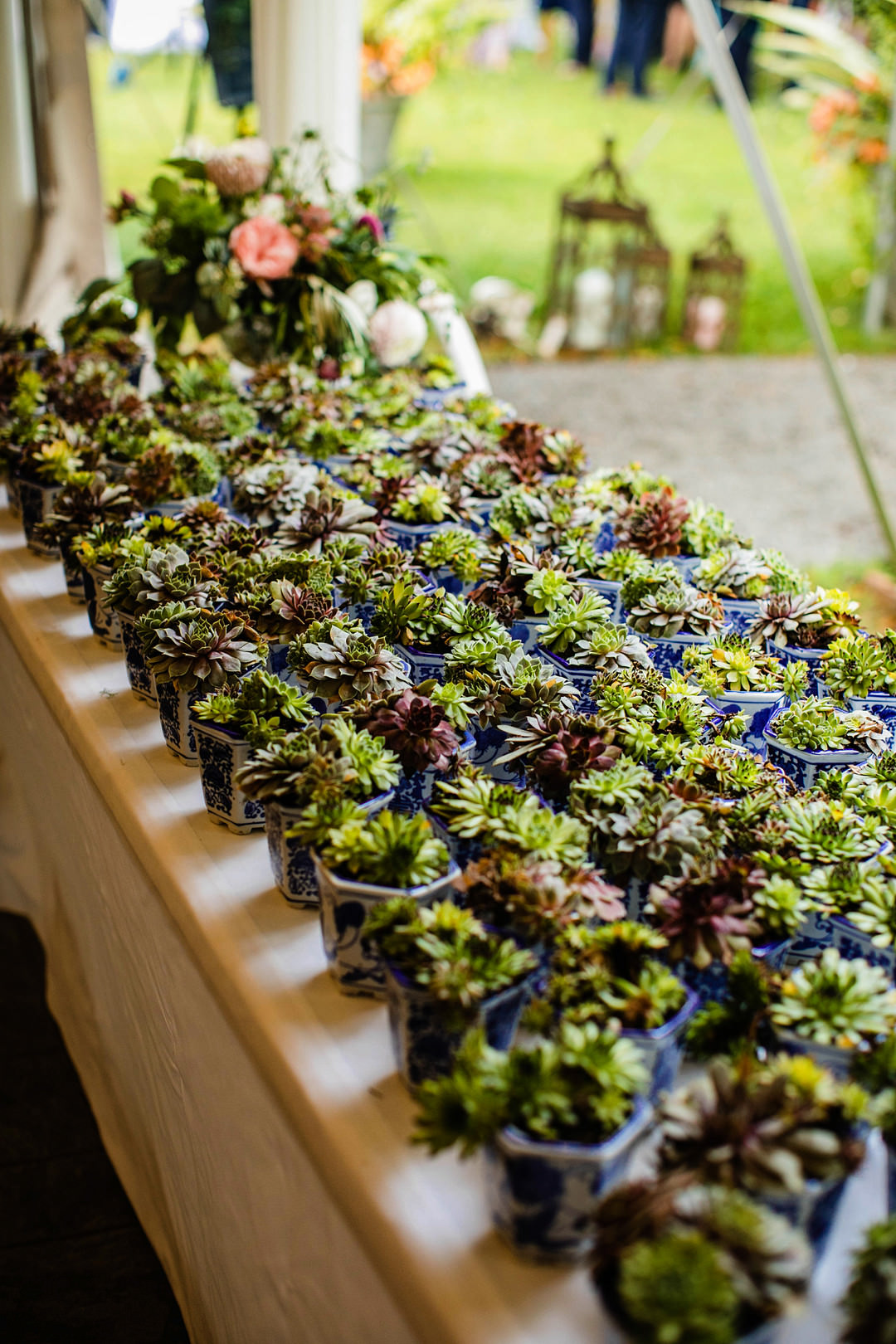 Succulents Favour Table Blithewold Mansion Wedding M.Studios