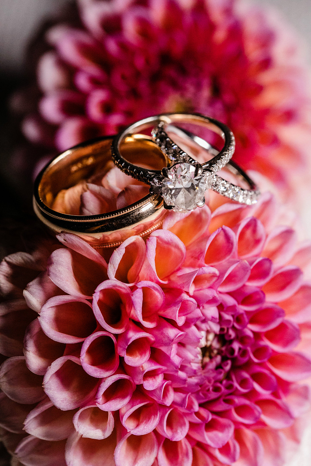 Rings Engagement Bands Blithewold Mansion Wedding M.Studios