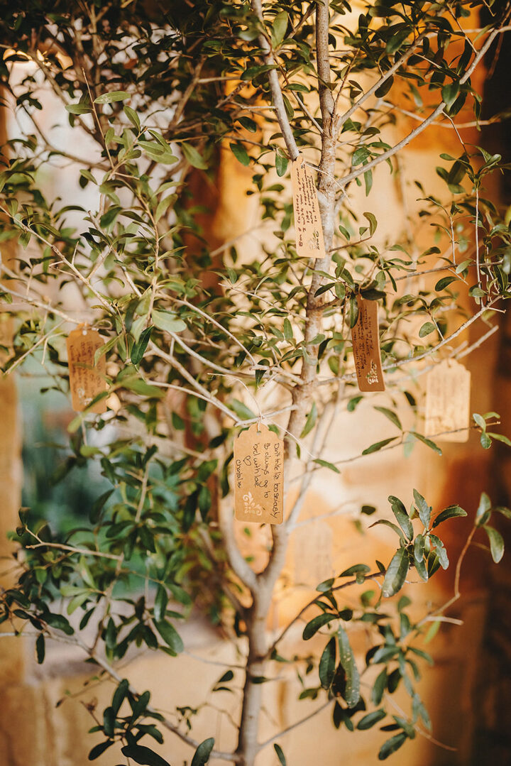 Wedding Guest Book Ideas Wishing Tree Two Pair Photography