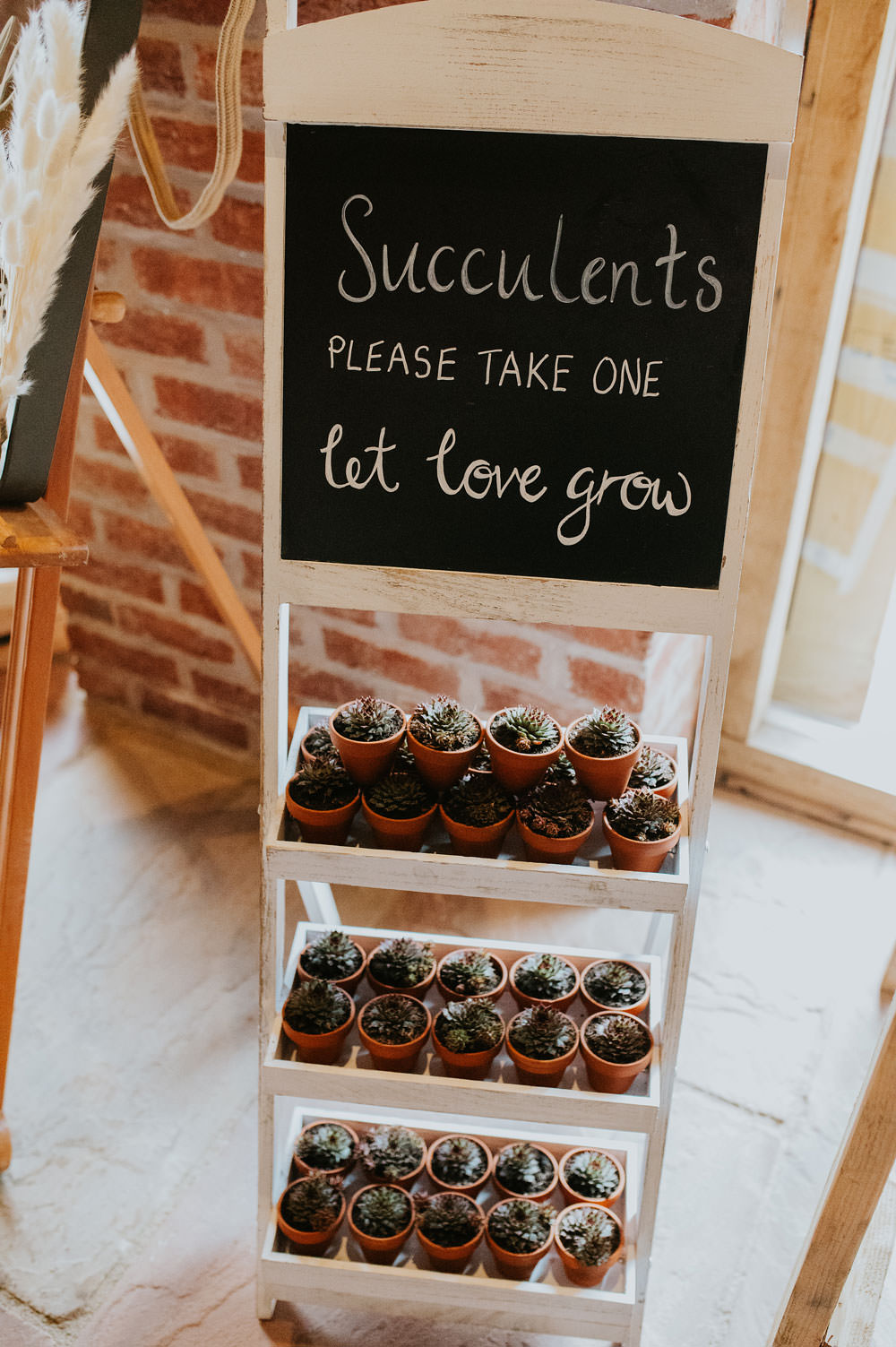 Potted Succulent Favours Yellow Orange Wedding Bohemian Rose Photography