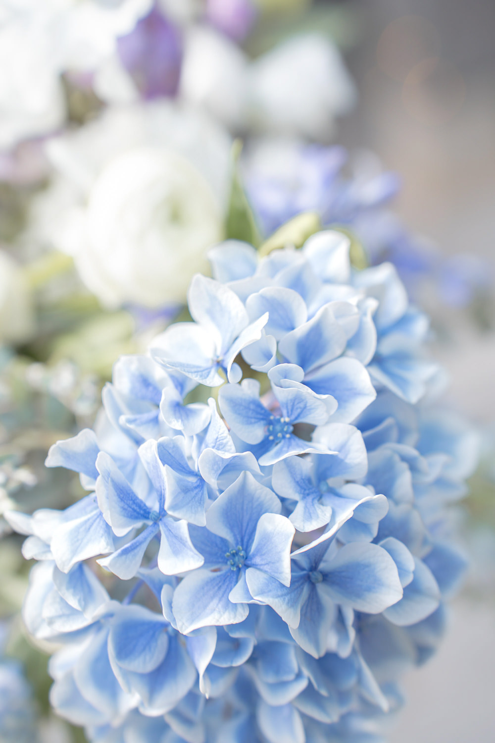 Bouquet Flowers Bride Bridal Pink White Blue Rose Hydrangea Hyacinth Boho Fairytale Wedding With Love Rose Photography