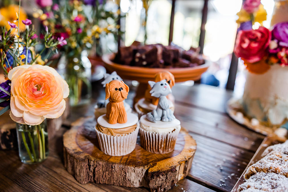 Dog Cat Cupcakes Colourful Wildflower Wedding Eve Dunlop Photography