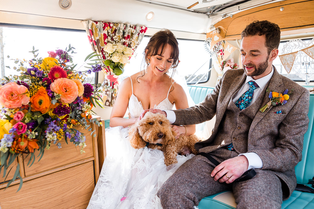 Pet Dog Colourful Wildflower Wedding Eve Dunlop Photography