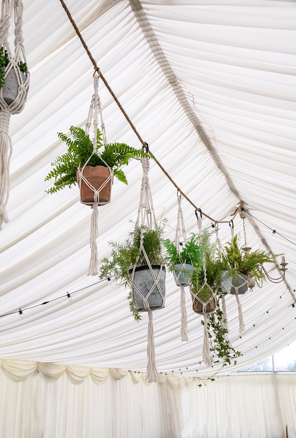 Hanging Pot Plants Marquee Flaxbourne Gardens Wedding Lorna Newman Weddings