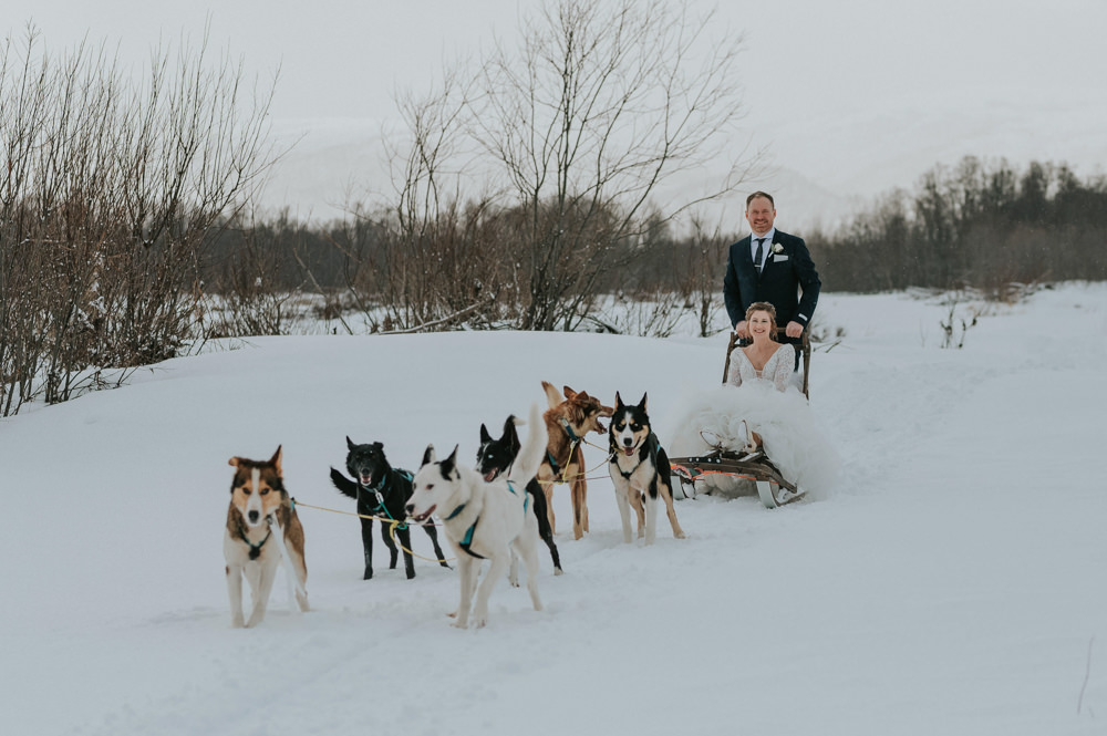 Dogs Snow Sleigh Winter Ice Hotel Wedding TS Foto Design