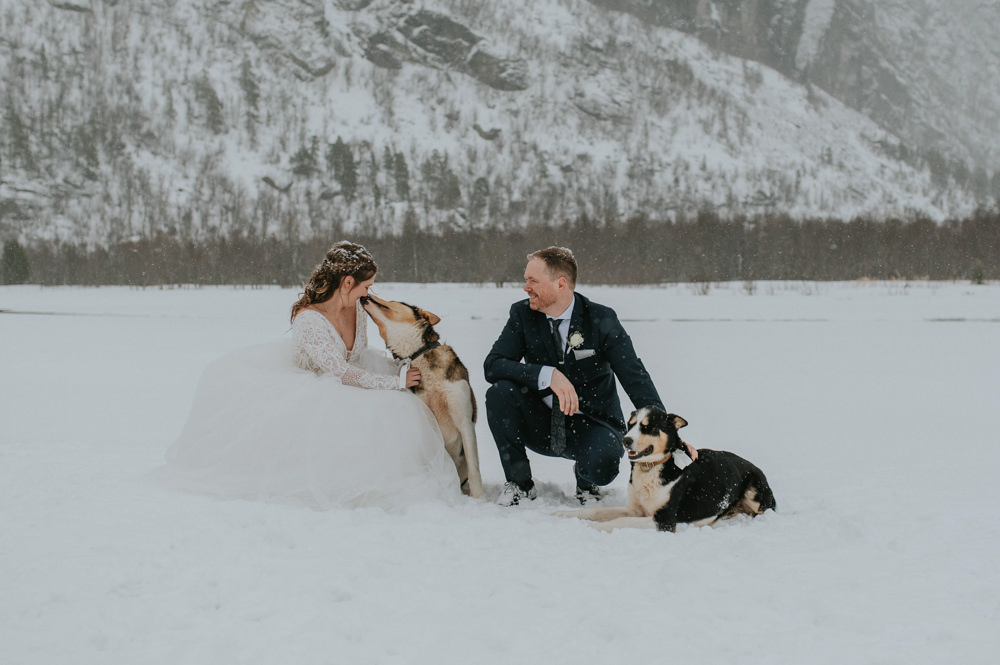 Dogs Snow Winter Igloo Hotel Wedding TS Foto Design