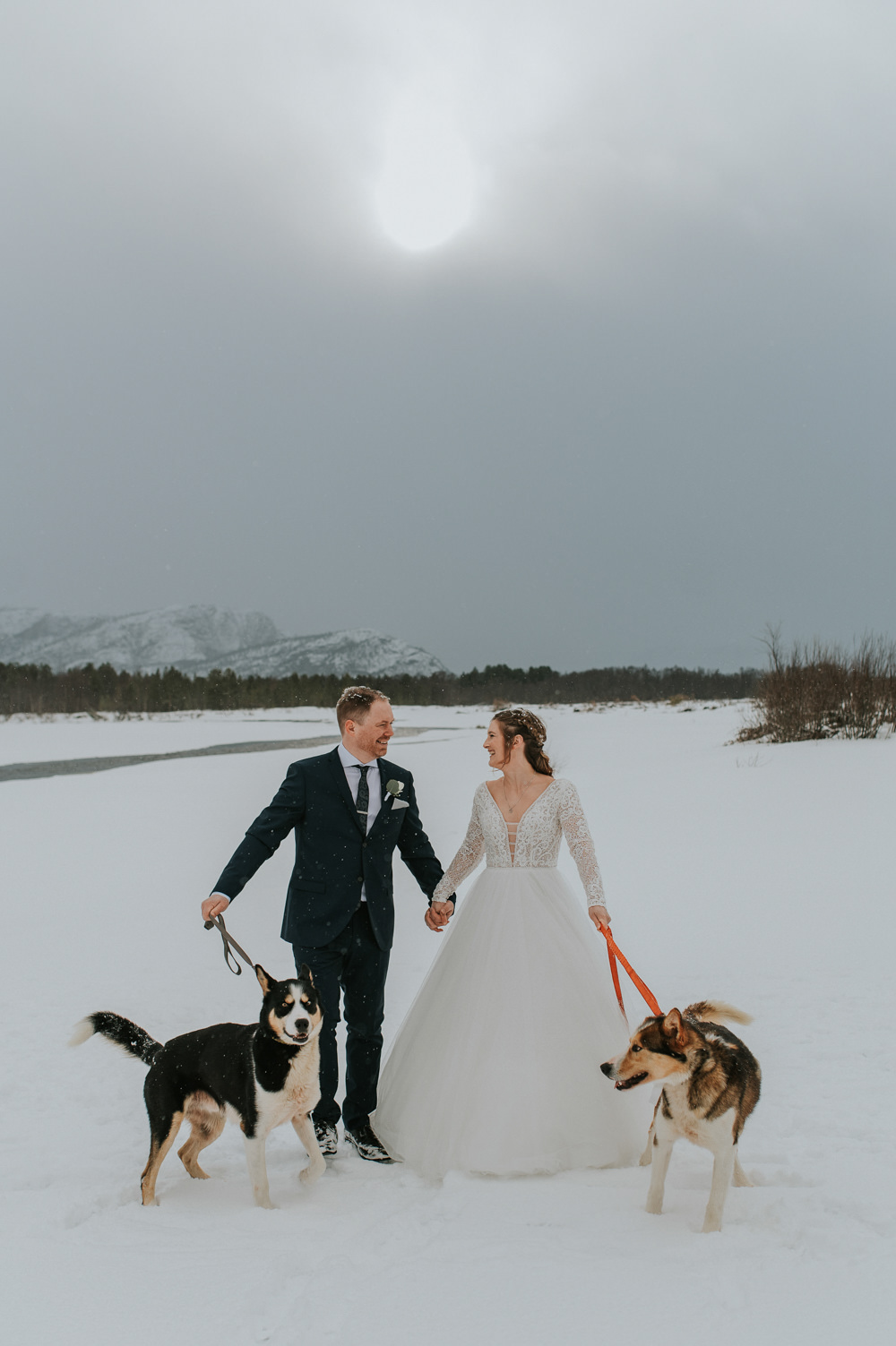Dogs Snow Winter Igloo Hotel Wedding TS Foto Design