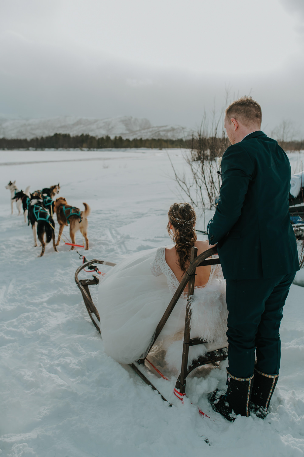 Dogs Sleigh Snow Husky Igloo Hotel Wedding TS Foto Design