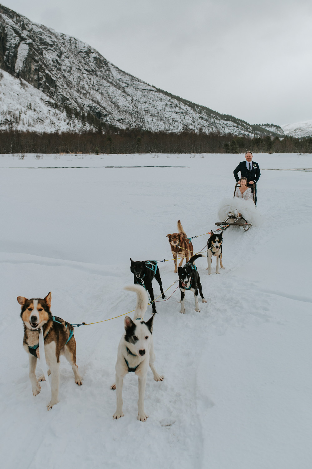 Dogs Sleigh Snow Husky Ice Hotel Wedding TS Foto Design