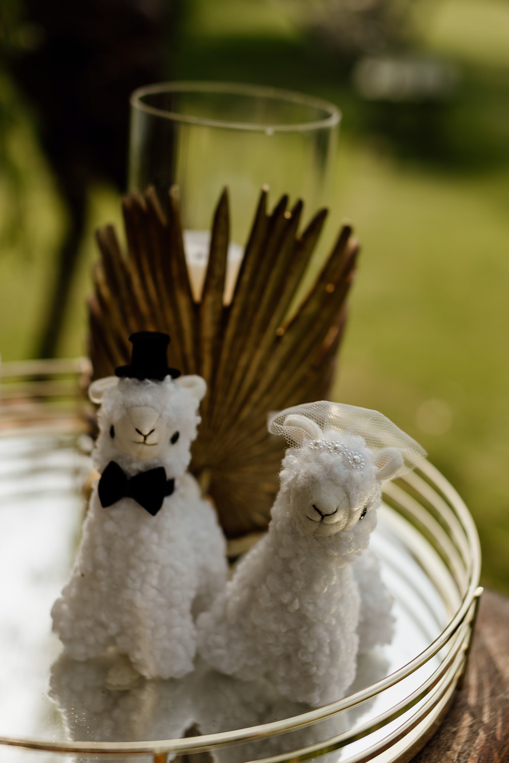Llama Love Shack Wedding Natalie Coultas Photography