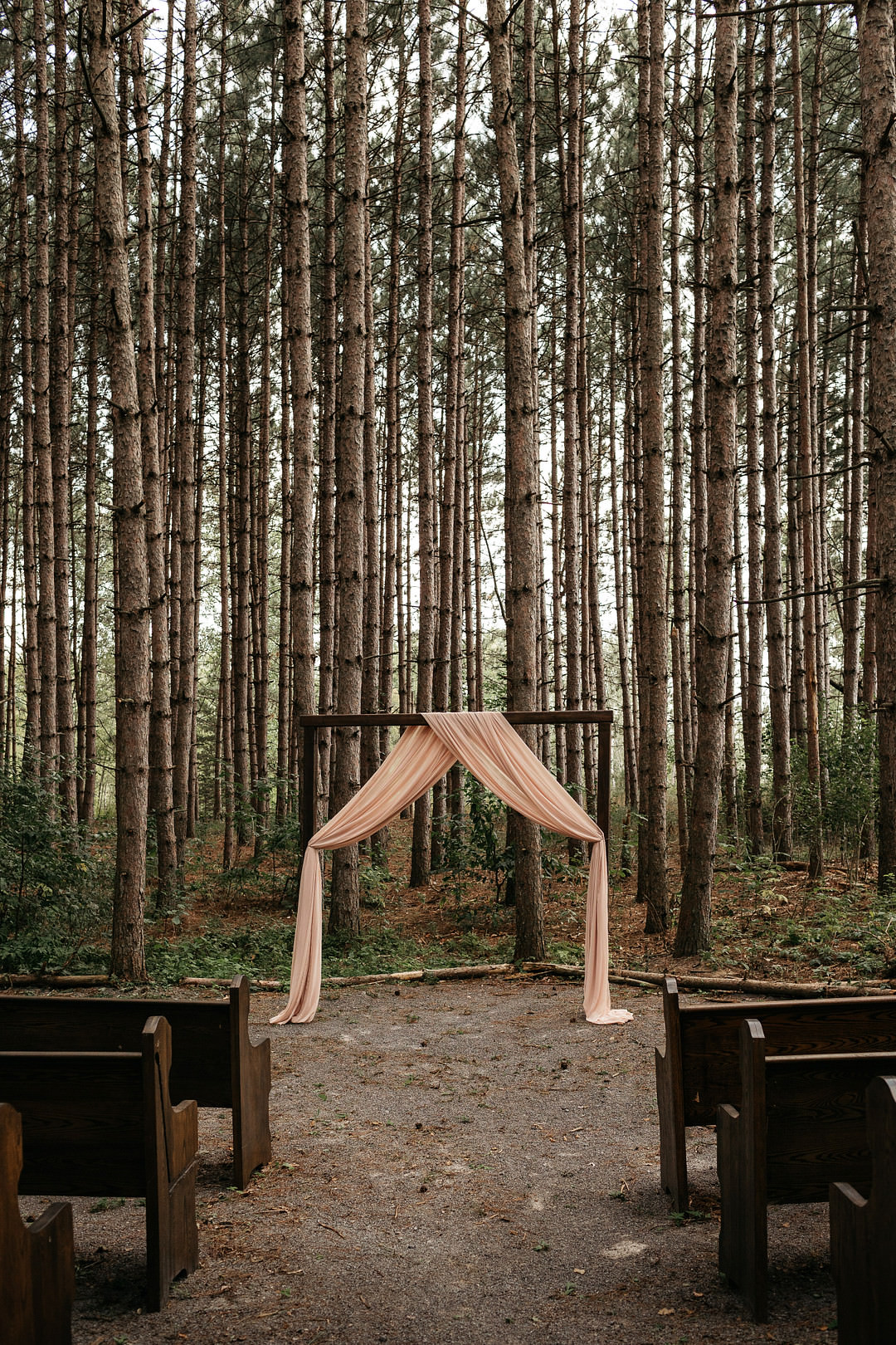 Forest Ceremony Wooden Arch Backdrop The Meadows Stirling Wedding Two Cheeks Studio