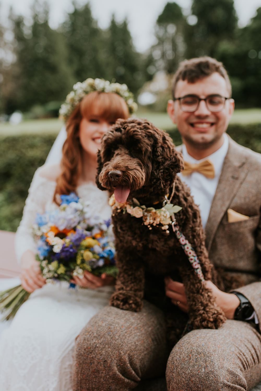 Pet Dog Caerhyn Wedding Mary W Thomas Photography