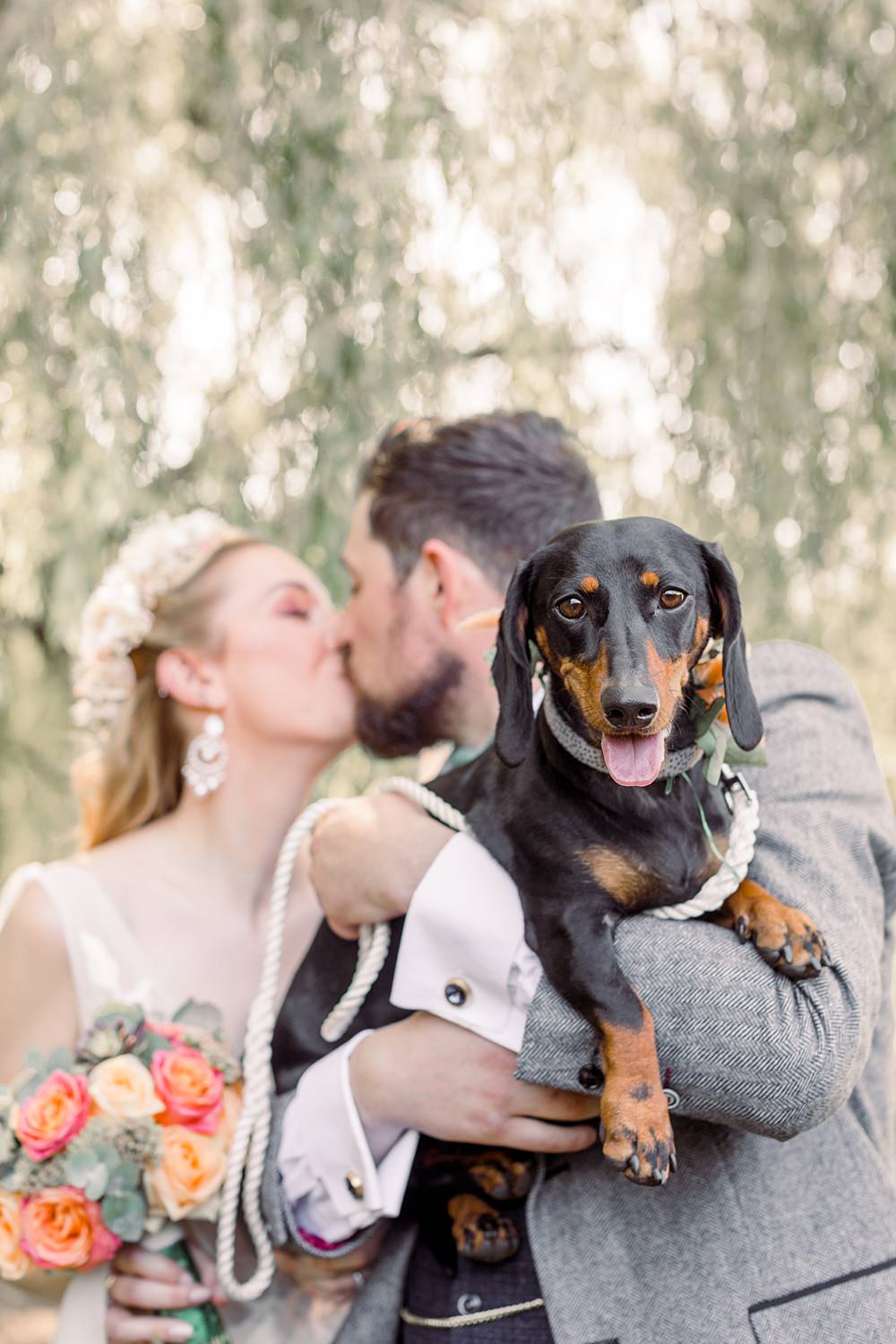 Pet Dog Boho Rustic Barn Wedding Terri & Lori