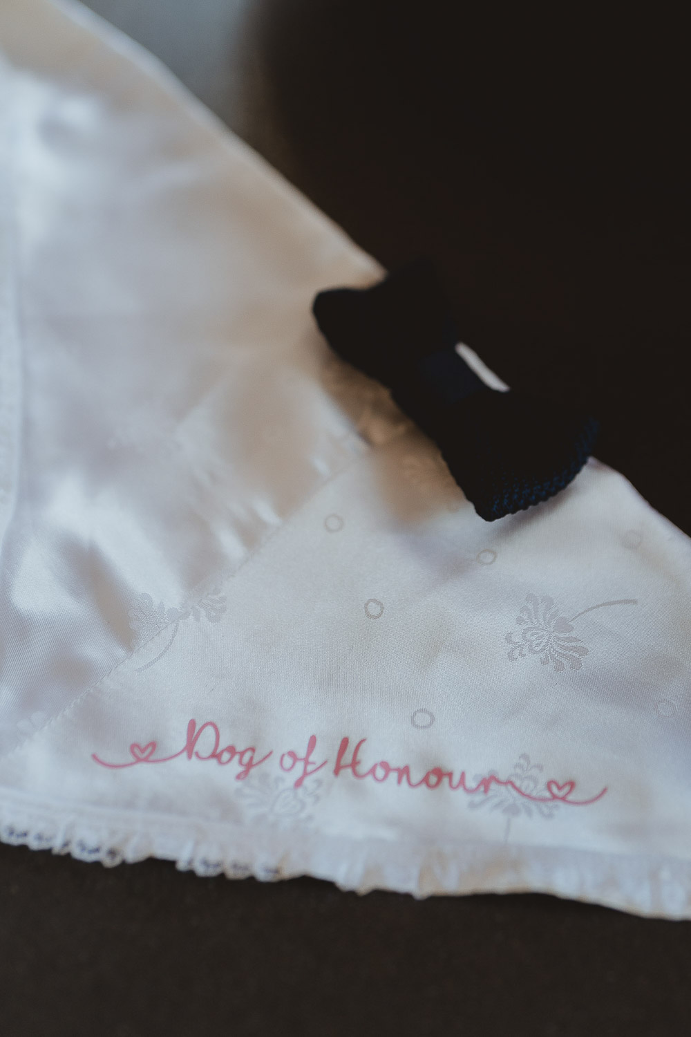 Dog Collar Outfit Norfolk Beach Wedding Georgia Rachael