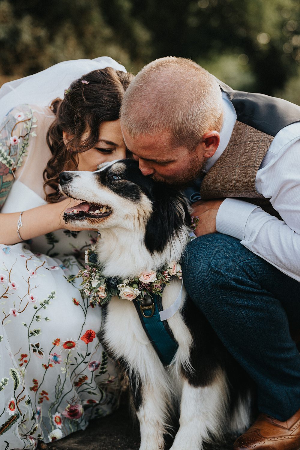 Pet Dog Flower Collar Farmyard Wedding Daniel Lightening Photography