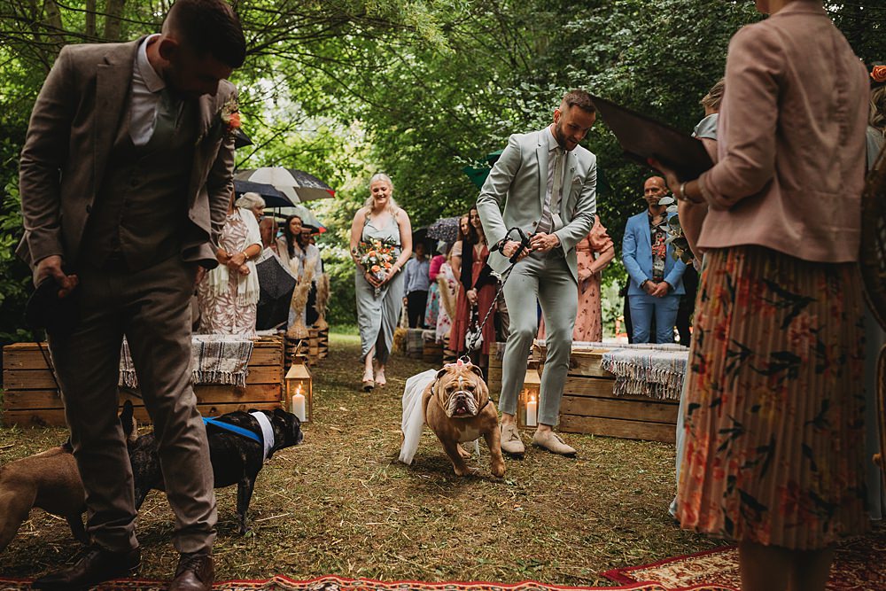 Dog Pet Funfair Festival Wedding Thyme Lane Photography