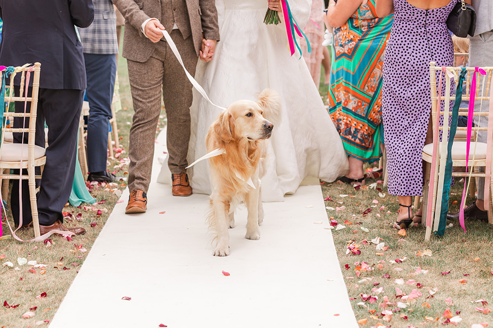 Pet Dog Holbrook Manor Wedding James & Kerrie Photography