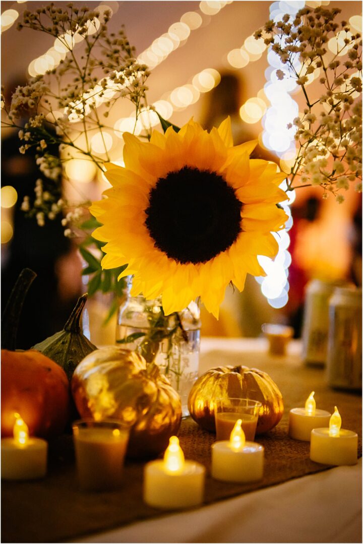 Pumpkin Wedding Ideas Ornament Decor Lily Sawyer Photography