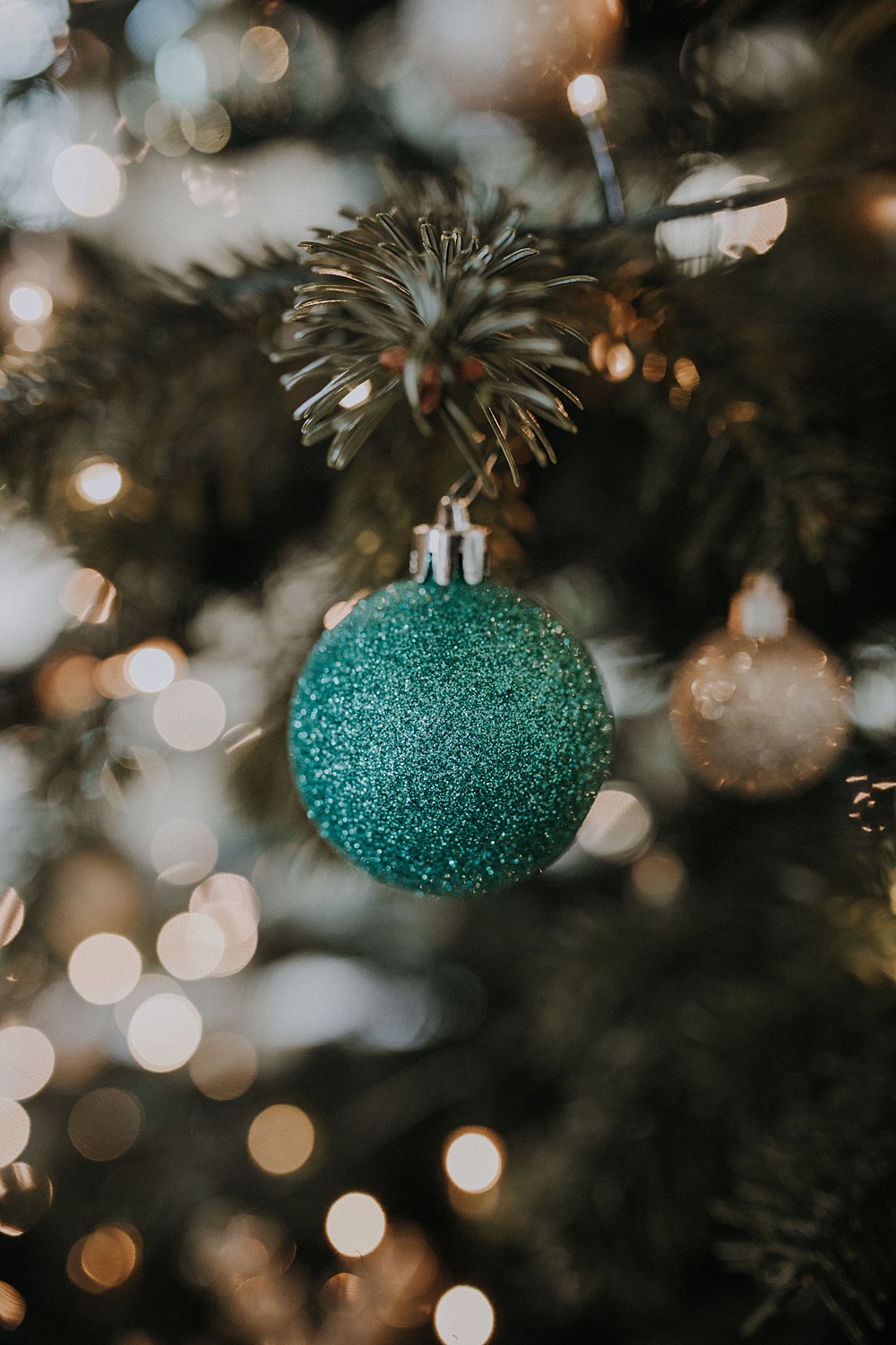 Christmas Tree Decoration Upwey House Wedding Lola Rose Photography