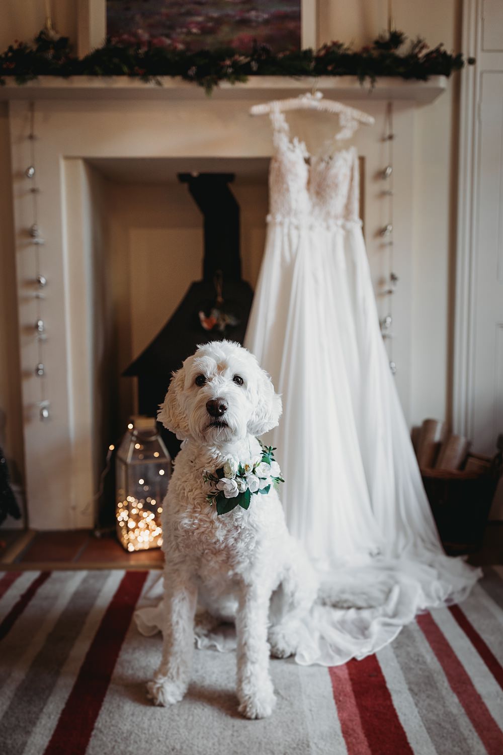 Pet Dog Flower Collar Winter Wonderland Barn Wedding Thyme Lane Photography