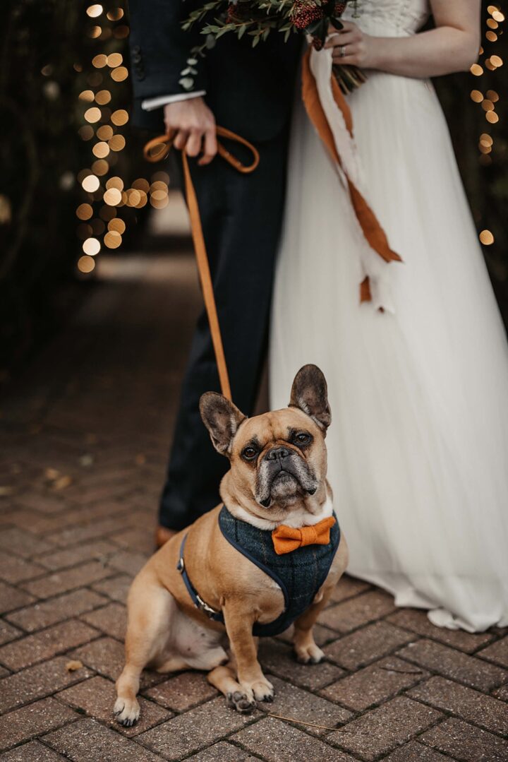 Wedding Ideas Pet Dog Olegs & Rita Photography