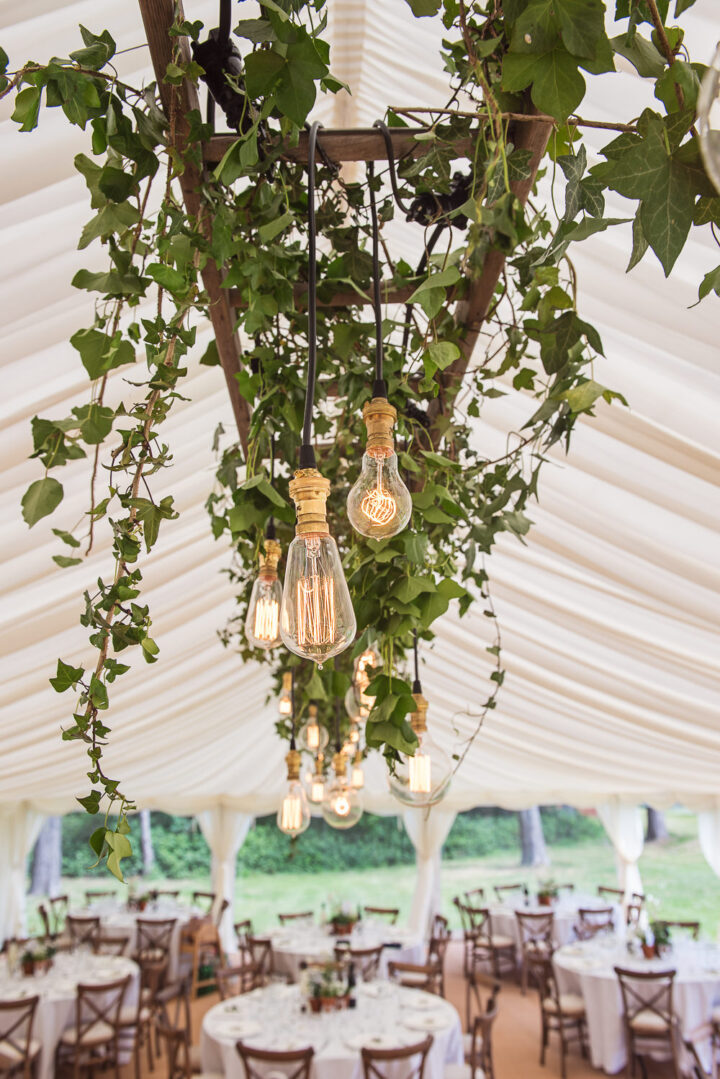 Wooden Wedding Ladder Decor Lights Suspended One Thousand Words