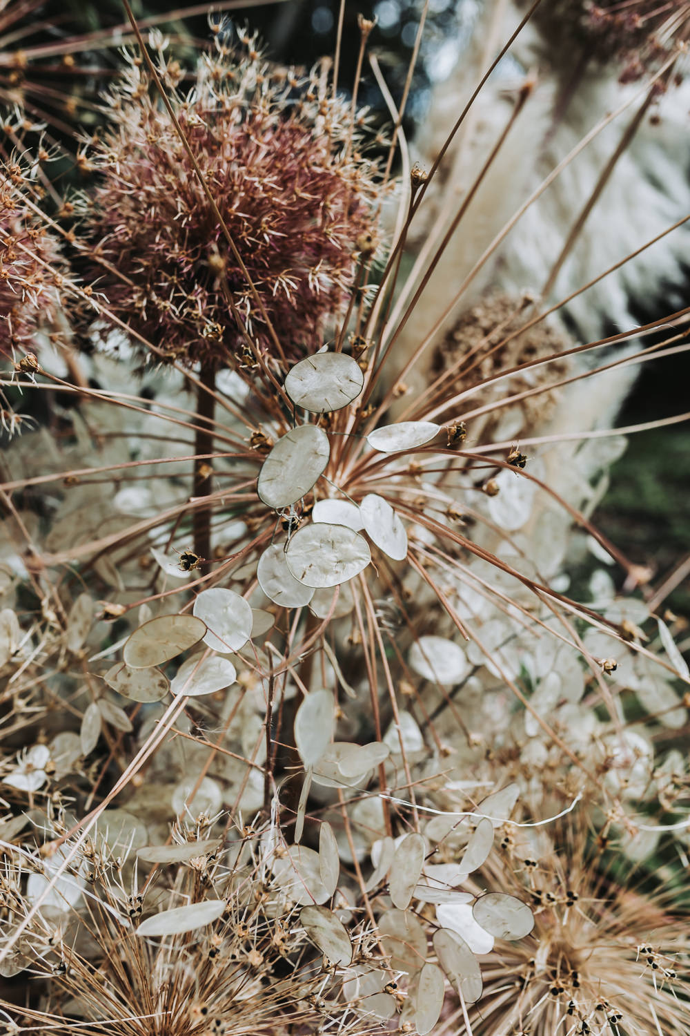 Dried Flowers Bouquet Yurt Village Wedding Mollie McAusland Photography
