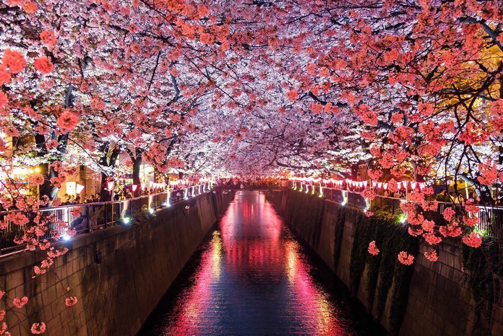 Best Honeymoon Destinations
