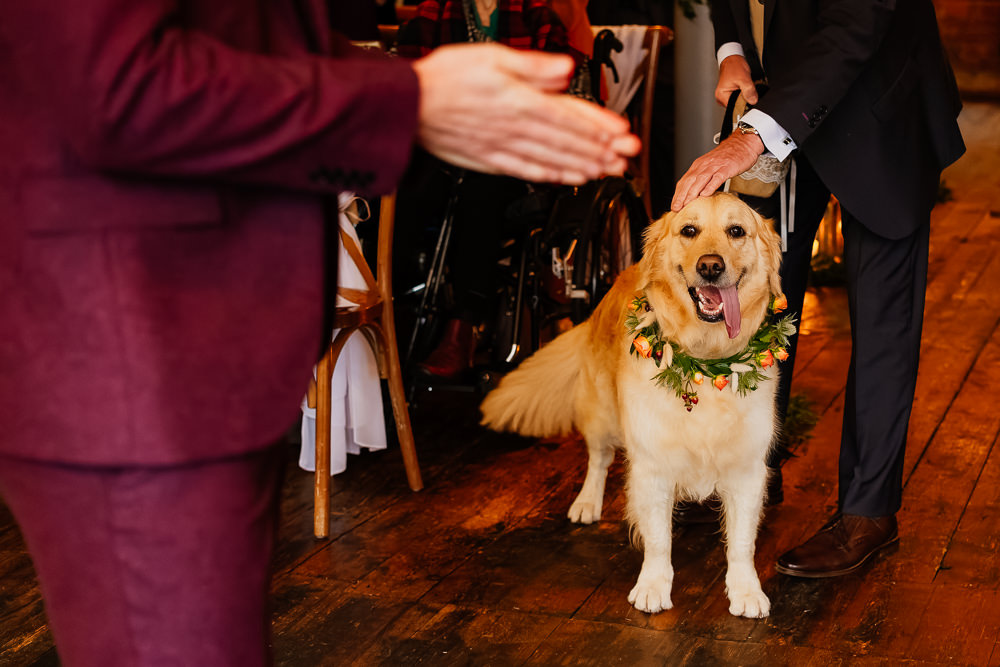Dog Flower Collar Autumnal Garden Wedding Jenna Kathleen Photographer