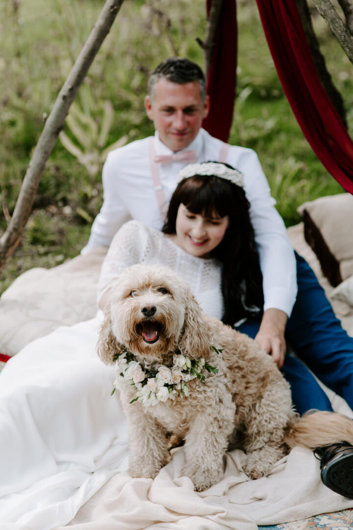 Dog Wedding Ideas Flower Collar Caroline Opacic Photography