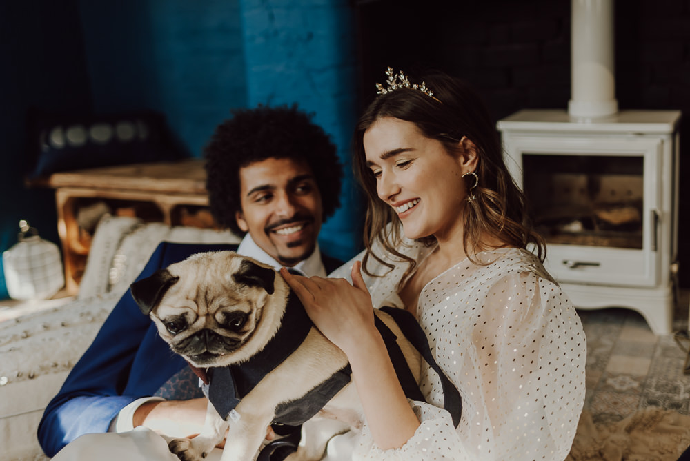 Dogs At Weddings Tips Gina Fernandes Photography