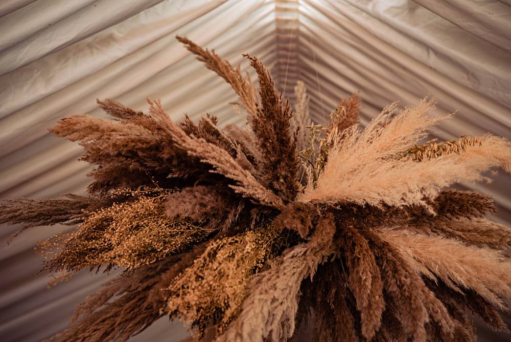 Pampas Grass Cloud Frickley Lake Wedding Natalia Case Photography