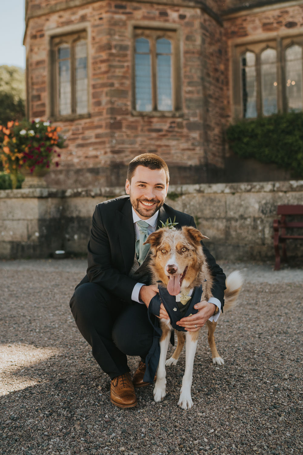 Pet Dog Harness Collar Orangery Mount Edgcumbe Wedding Grace Elizabeth Photography