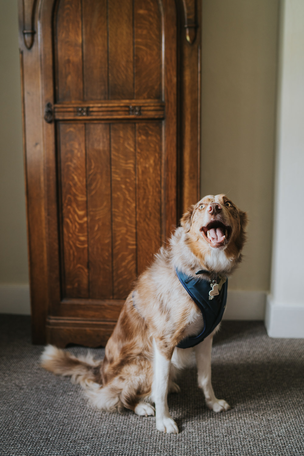 Orangery Mount Edgcumbe Wedding Grace Elizabeth Photography